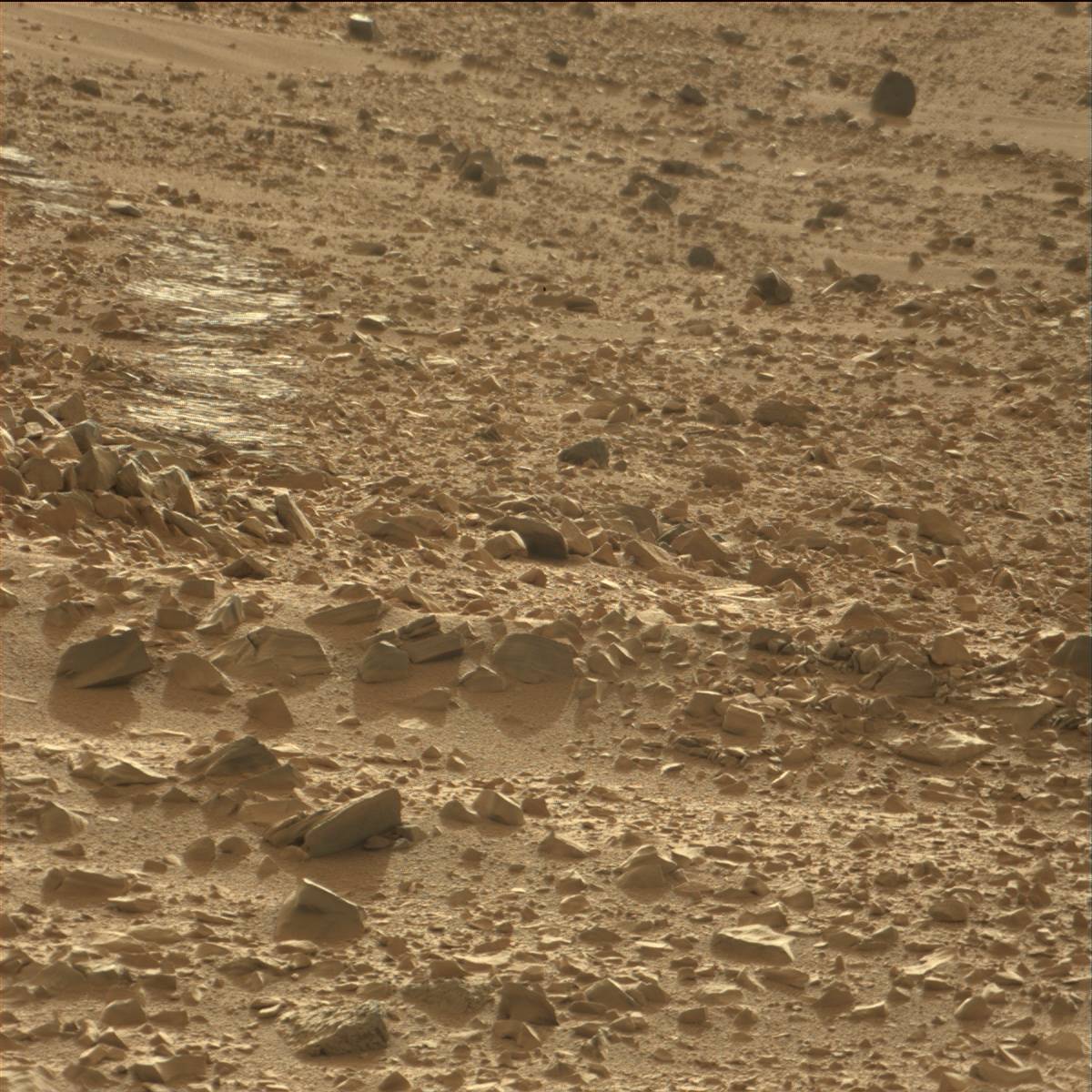 Nasa's Mars rover Curiosity acquired this image using its Mast Camera (Mastcam) on Sol 70