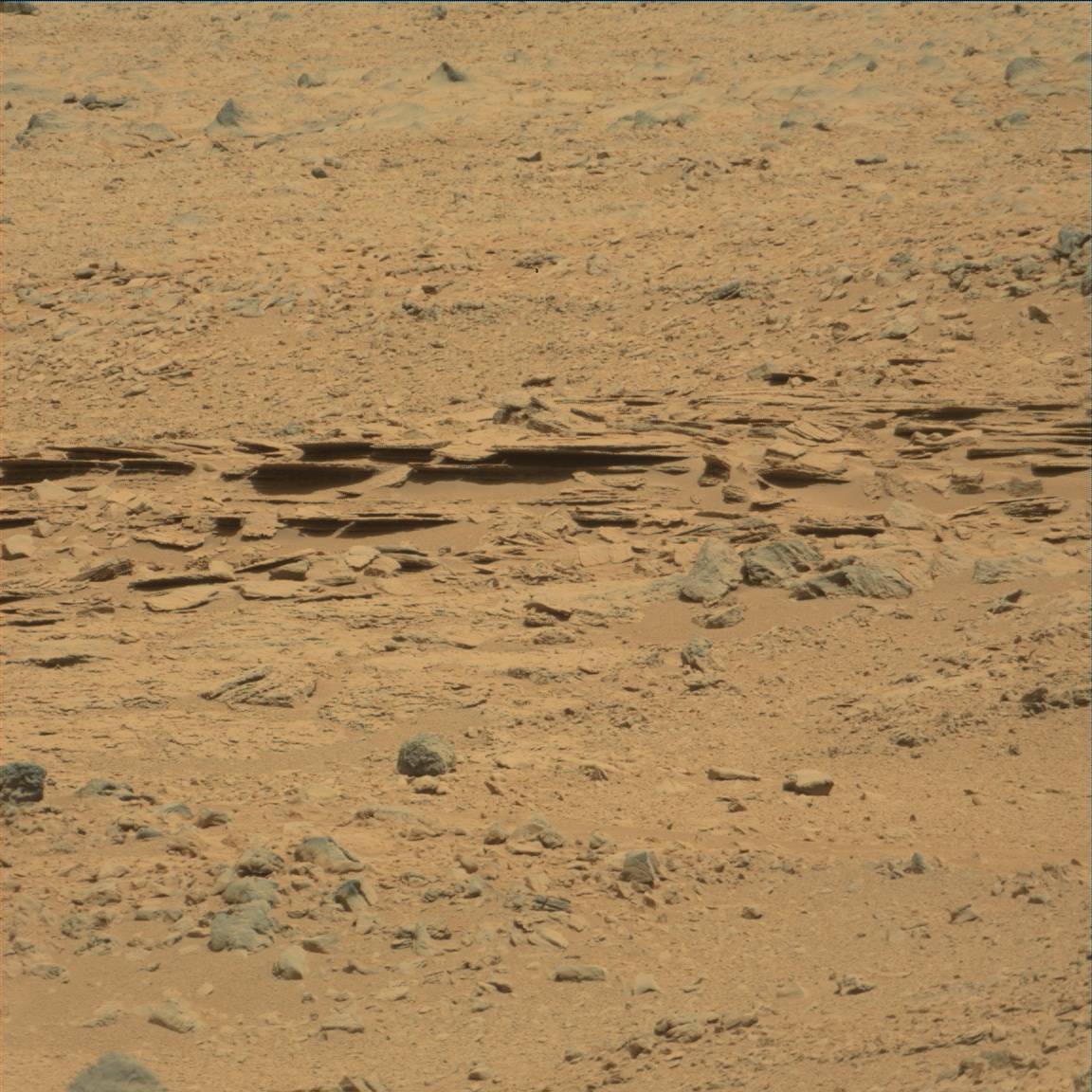 Nasa's Mars rover Curiosity acquired this image using its Mast Camera (Mastcam) on Sol 71
