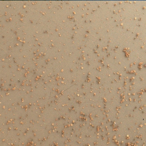 Nasa's Mars rover Curiosity acquired this image using its Mars Hand Lens Imager (MAHLI) on Sol 73