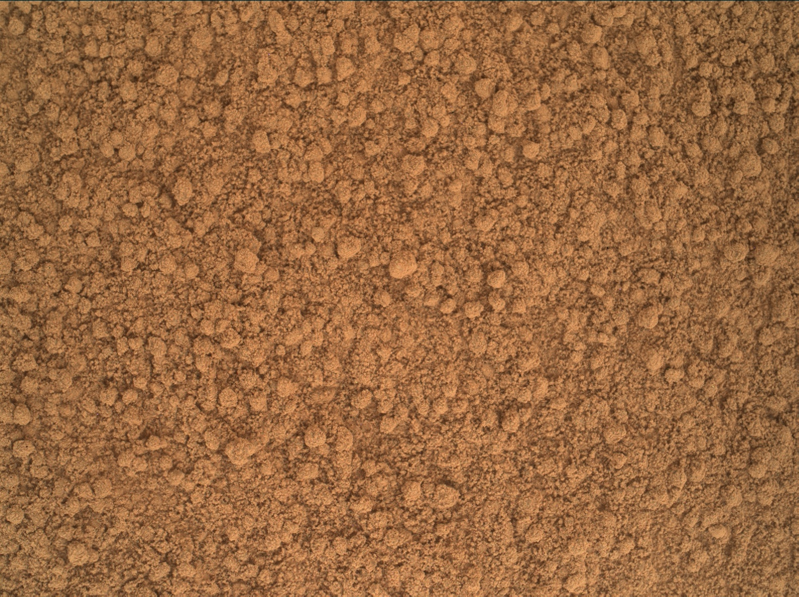 Nasa's Mars rover Curiosity acquired this image using its Mars Hand Lens Imager (MAHLI) on Sol 74