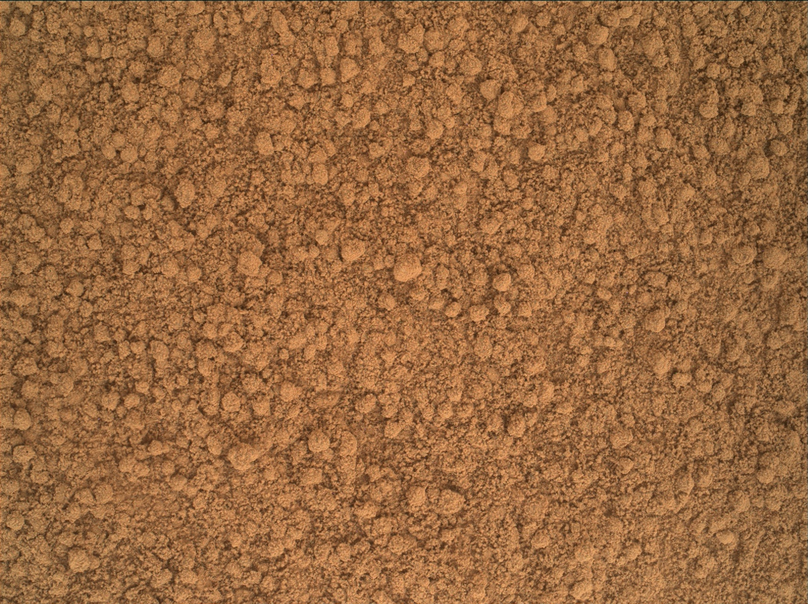 Nasa's Mars rover Curiosity acquired this image using its Mars Hand Lens Imager (MAHLI) on Sol 74