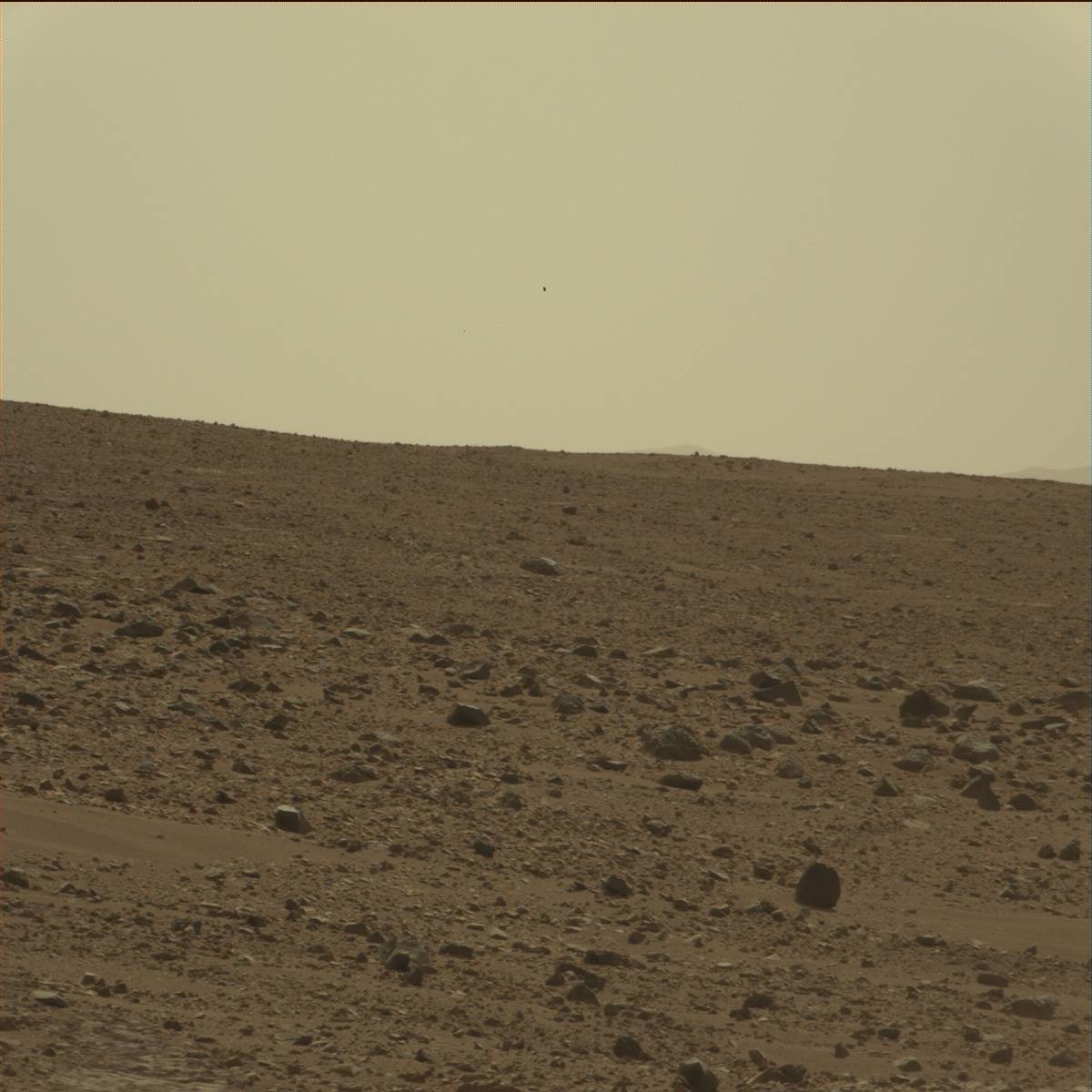Nasa's Mars rover Curiosity acquired this image using its Mast Camera (Mastcam) on Sol 75