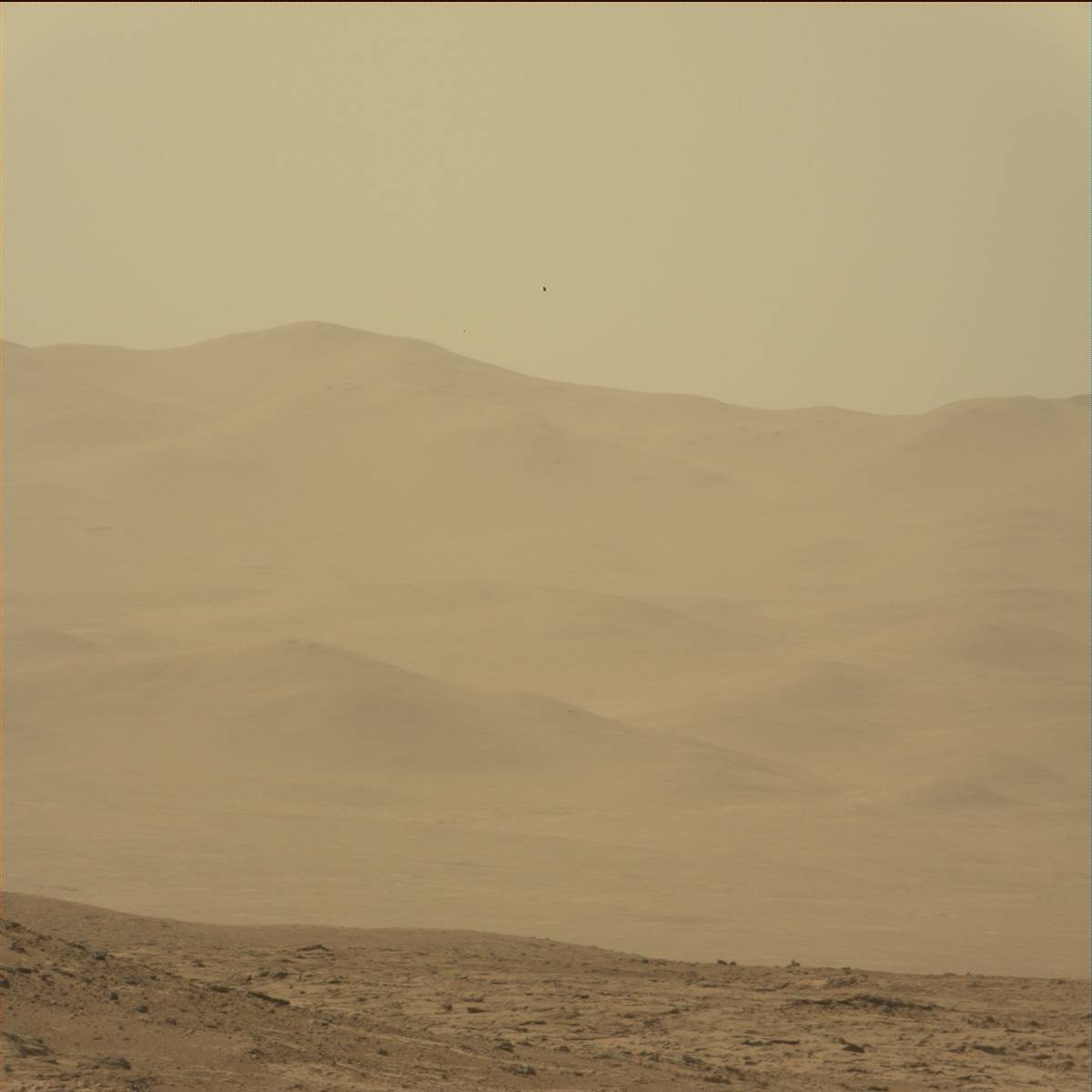 Nasa's Mars rover Curiosity acquired this image using its Mast Camera (Mastcam) on Sol 75