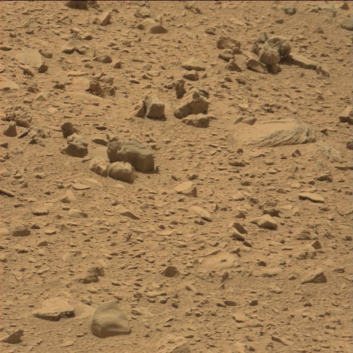 Nasa's Mars rover Curiosity acquired this image using its Mast Camera (Mastcam) on Sol 77