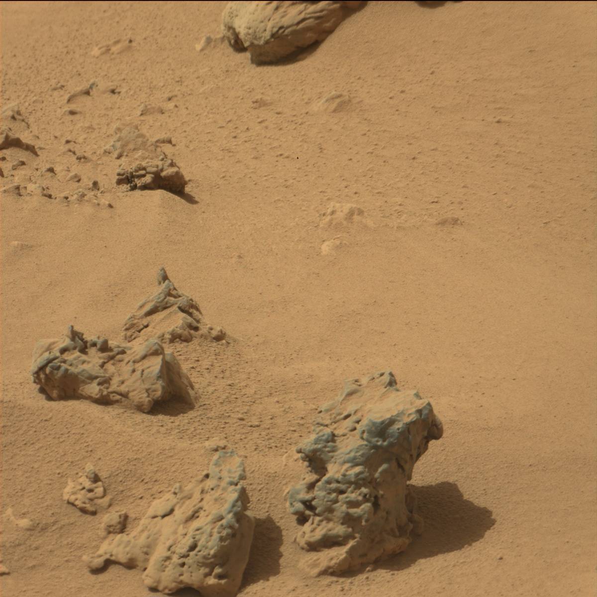 Nasa's Mars rover Curiosity acquired this image using its Mast Camera (Mastcam) on Sol 77