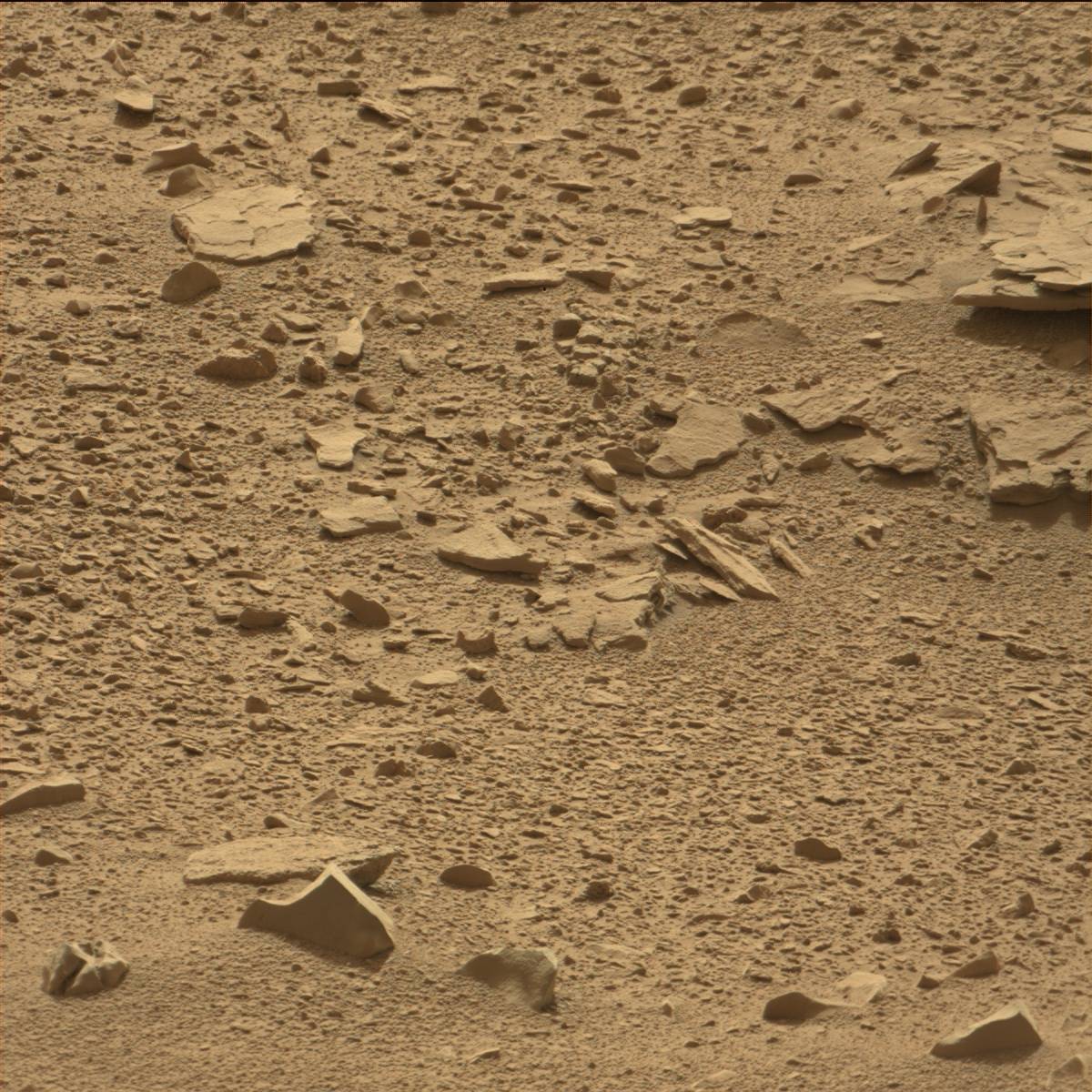 Nasa's Mars rover Curiosity acquired this image using its Mast Camera (Mastcam) on Sol 78
