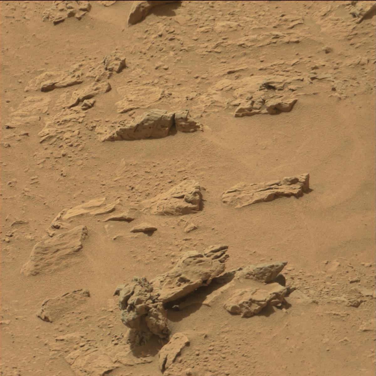 Nasa's Mars rover Curiosity acquired this image using its Mast Camera (Mastcam) on Sol 79