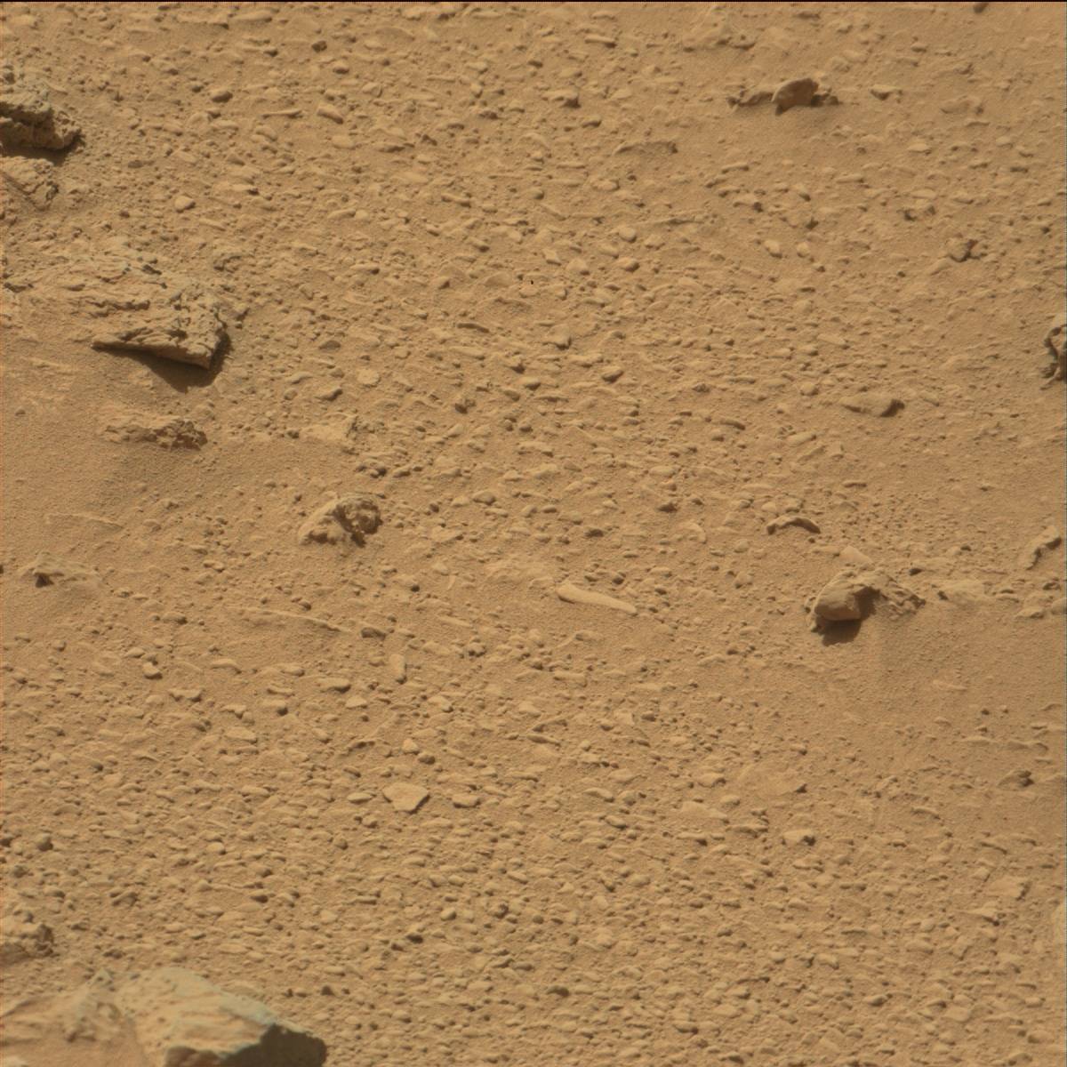 Nasa's Mars rover Curiosity acquired this image using its Mast Camera (Mastcam) on Sol 79