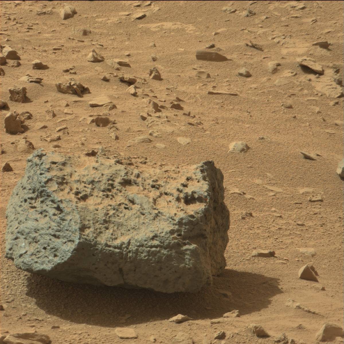 Nasa's Mars rover Curiosity acquired this image using its Mast Camera (Mastcam) on Sol 80