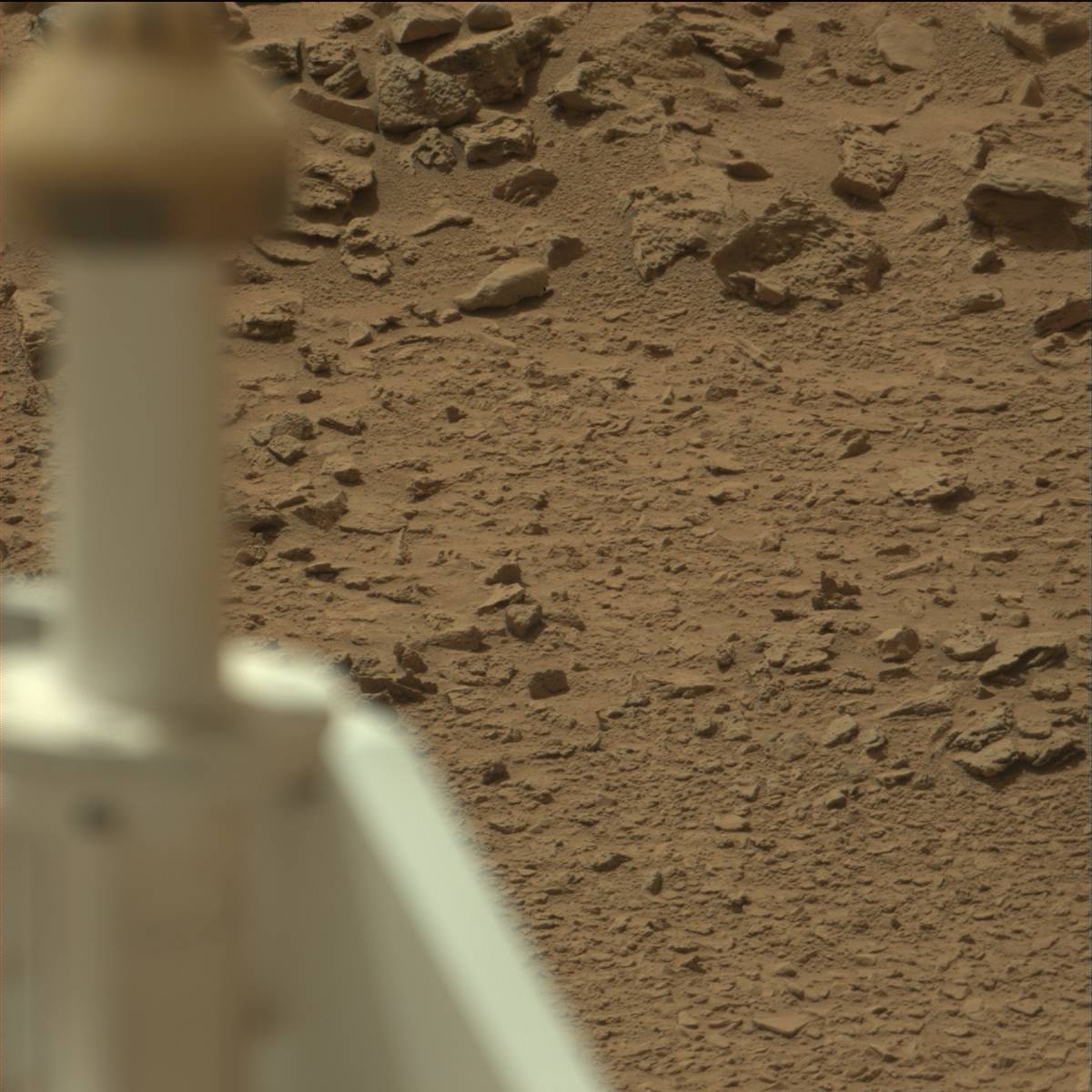 Nasa's Mars rover Curiosity acquired this image using its Mast Camera (Mastcam) on Sol 80