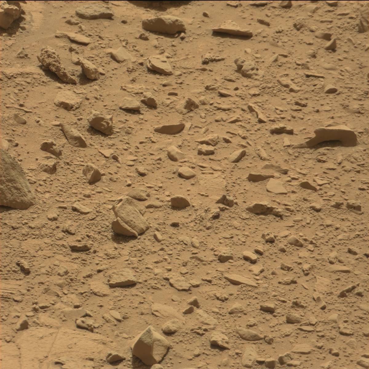 Nasa's Mars rover Curiosity acquired this image using its Mast Camera (Mastcam) on Sol 82