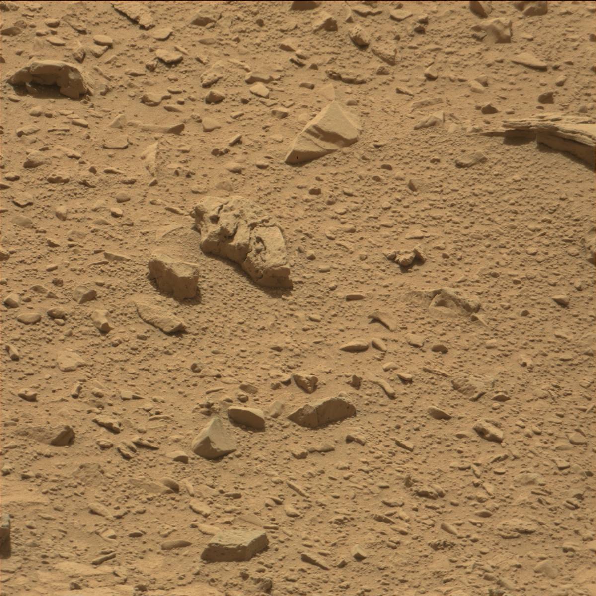 Nasa's Mars rover Curiosity acquired this image using its Mast Camera (Mastcam) on Sol 82
