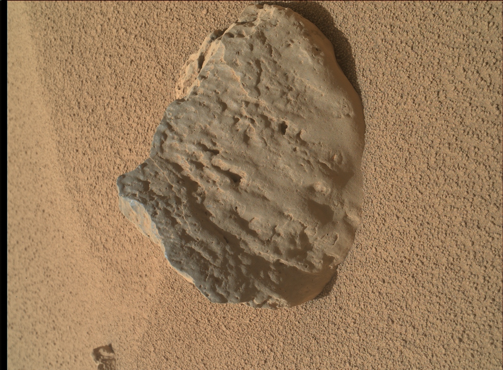 Nasa's Mars rover Curiosity acquired this image using its Mars Hand Lens Imager (MAHLI) on Sol 82