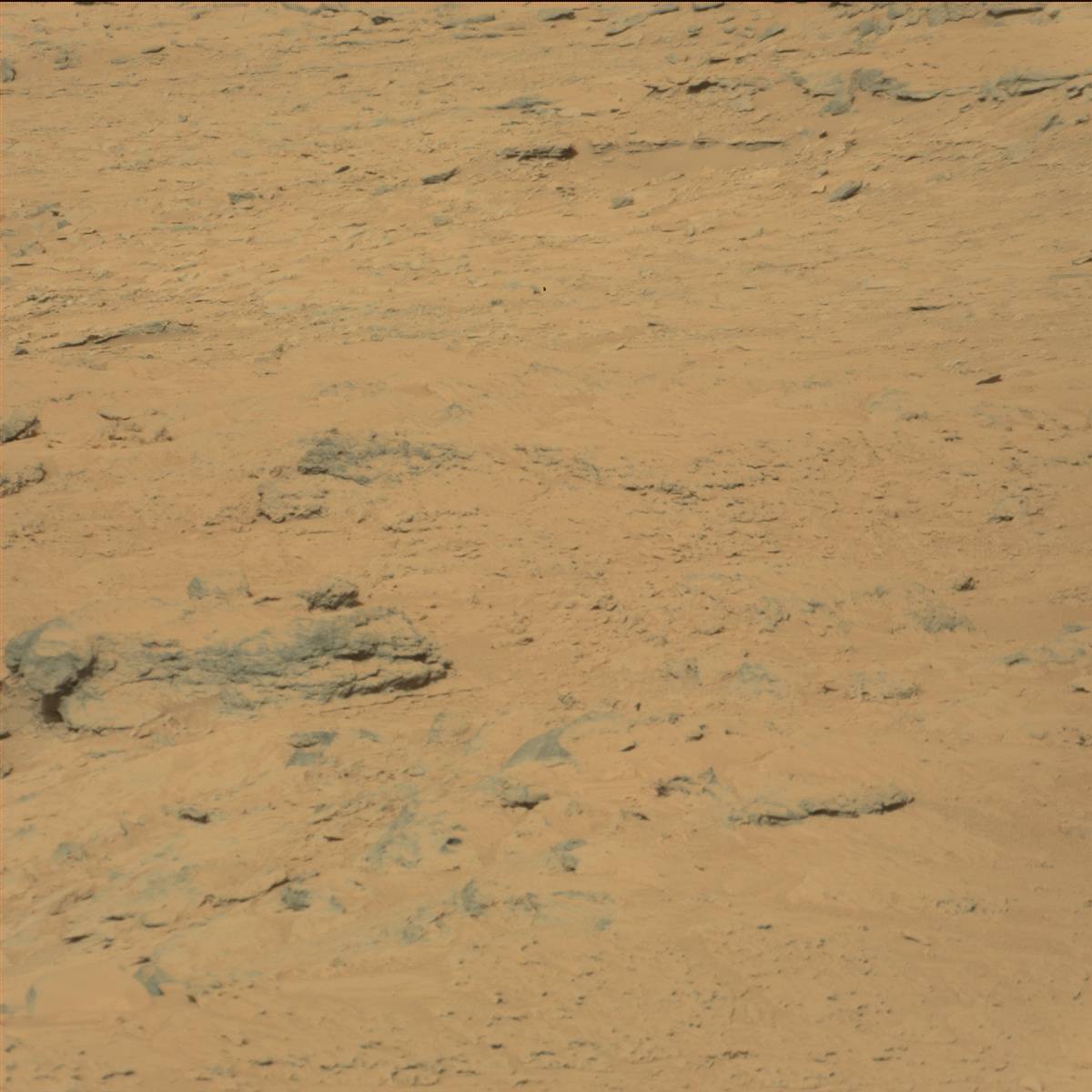Nasa's Mars rover Curiosity acquired this image using its Mast Camera (Mastcam) on Sol 87