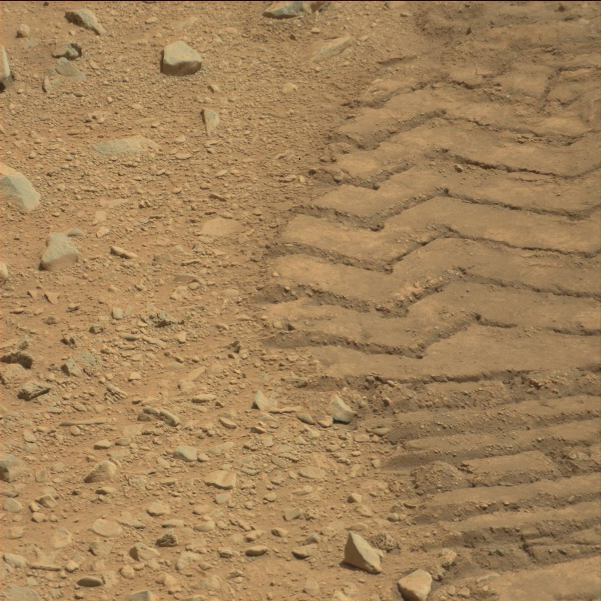 Nasa's Mars rover Curiosity acquired this image using its Mast Camera (Mastcam) on Sol 88