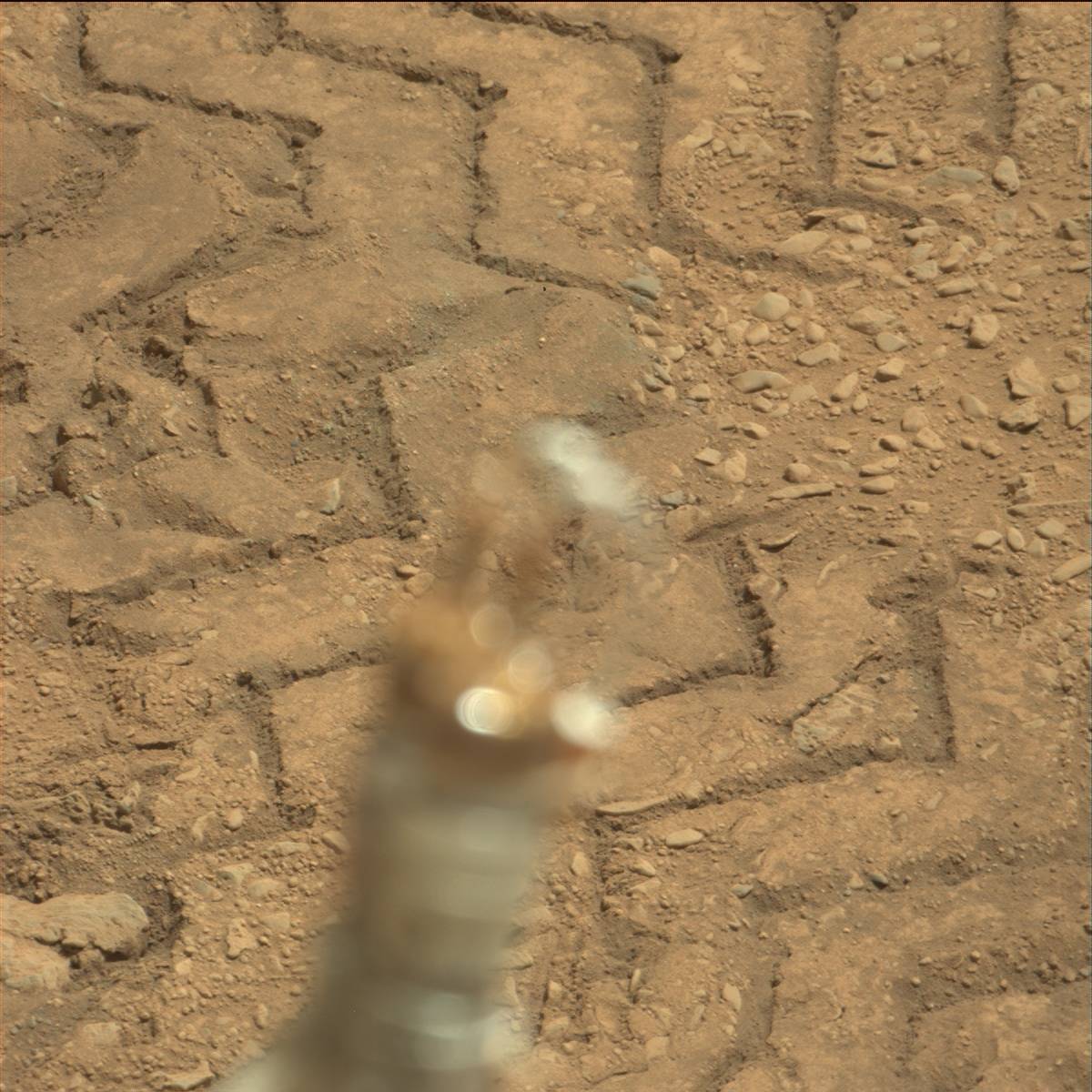 Nasa's Mars rover Curiosity acquired this image using its Mast Camera (Mastcam) on Sol 88