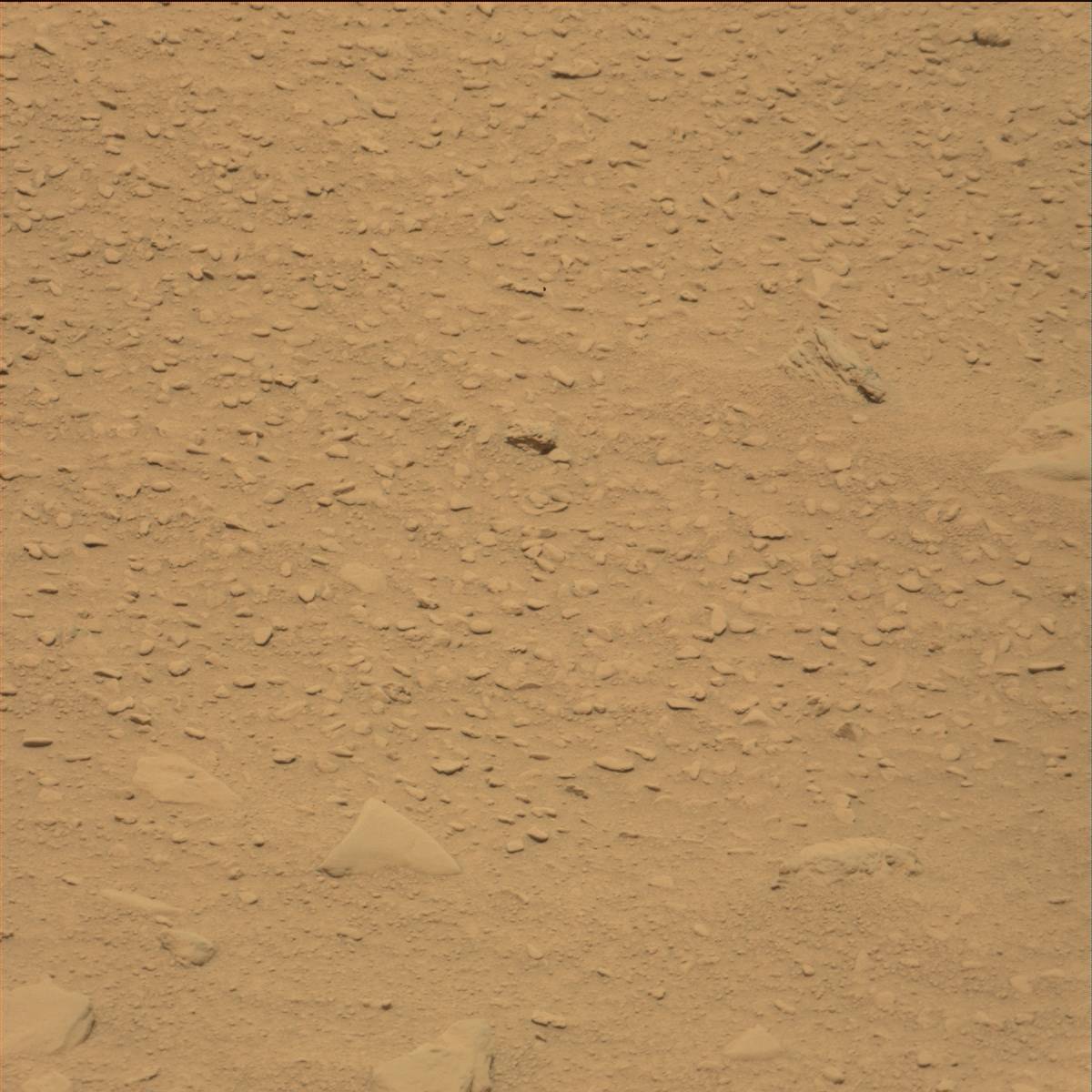 Nasa's Mars rover Curiosity acquired this image using its Mast Camera (Mastcam) on Sol 90