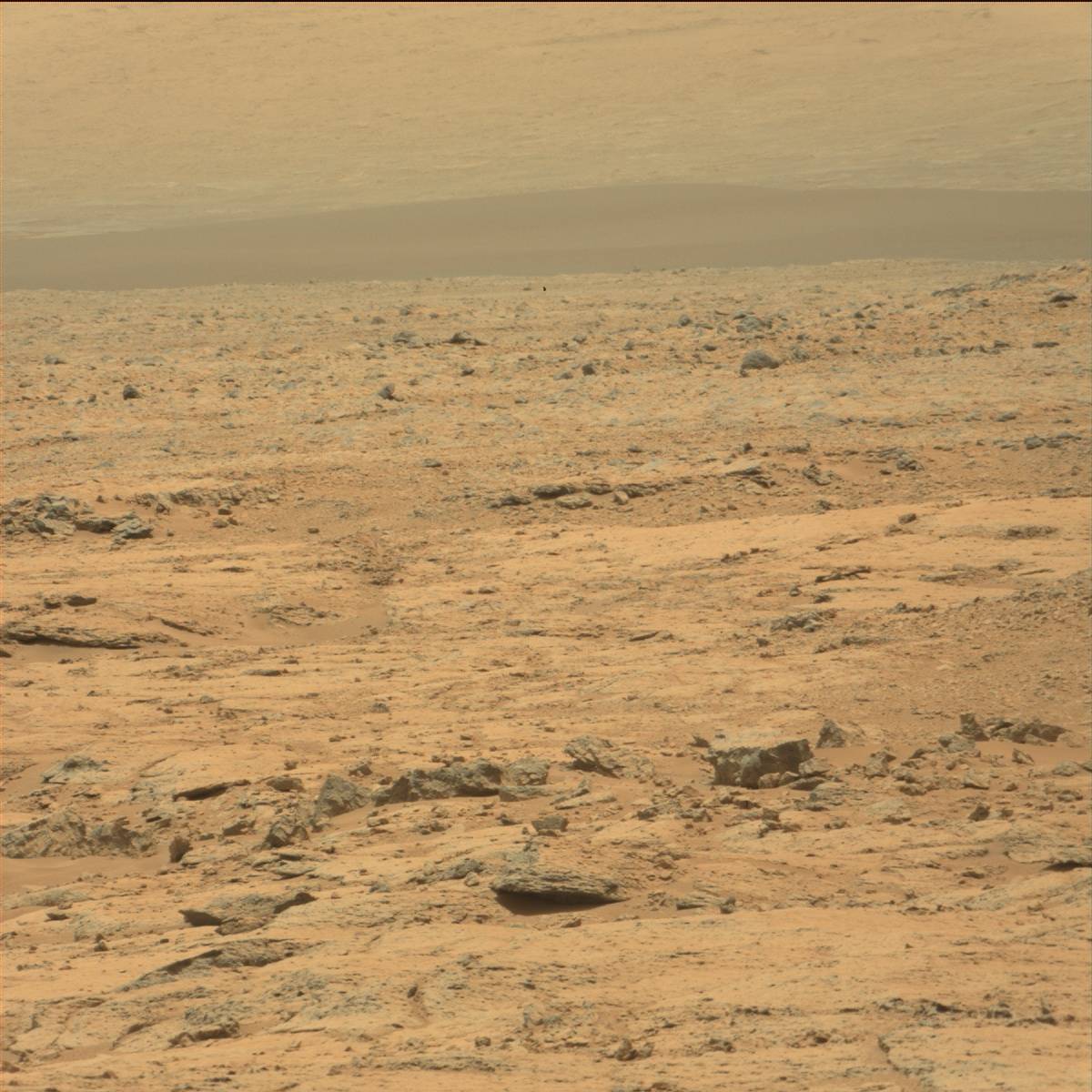 Nasa's Mars rover Curiosity acquired this image using its Mast Camera (Mastcam) on Sol 101