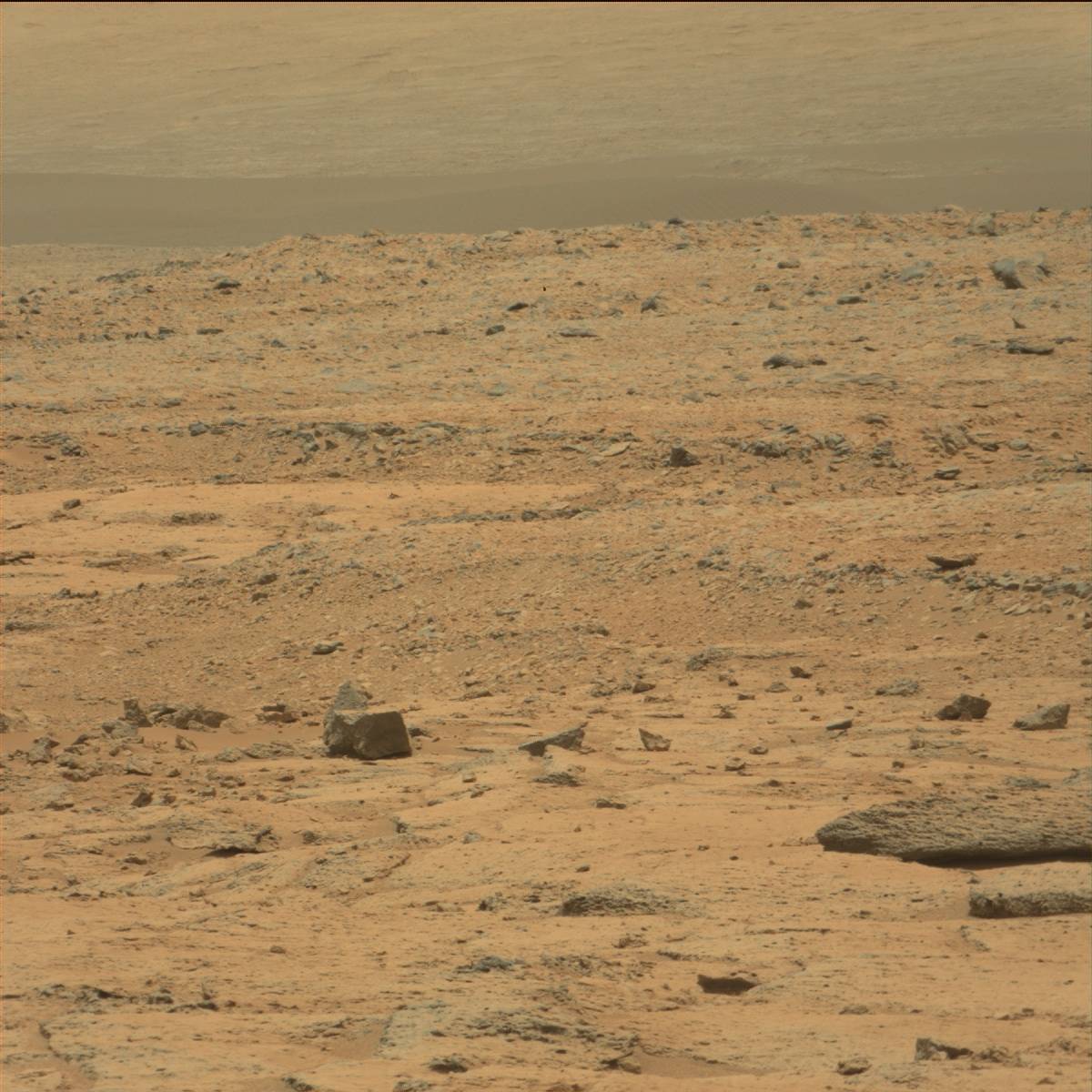 Nasa's Mars rover Curiosity acquired this image using its Mast Camera (Mastcam) on Sol 101