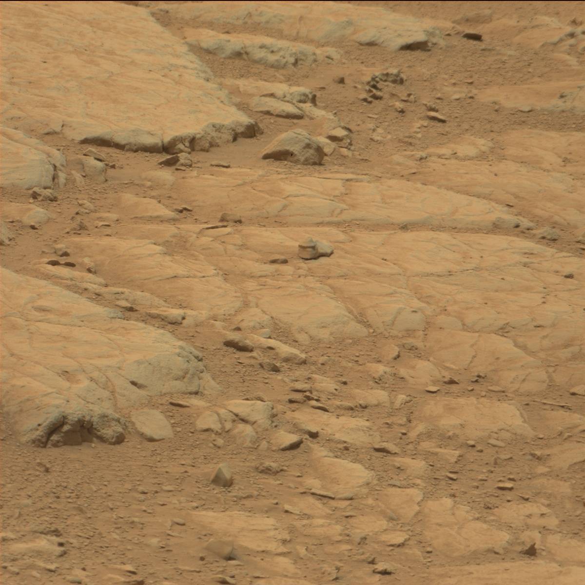 Nasa's Mars rover Curiosity acquired this image using its Mast Camera (Mastcam) on Sol 104
