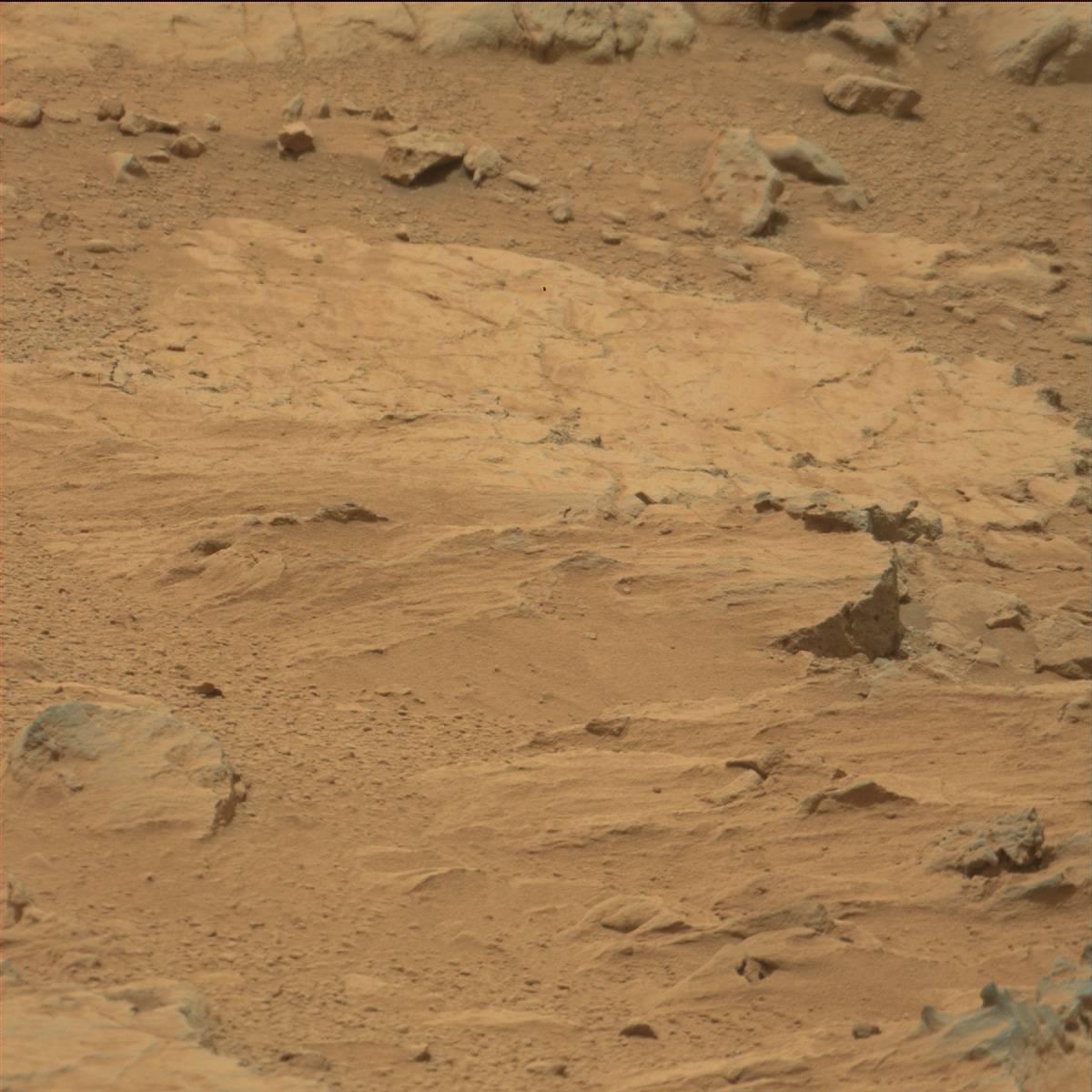 Nasa's Mars rover Curiosity acquired this image using its Mast Camera (Mastcam) on Sol 104