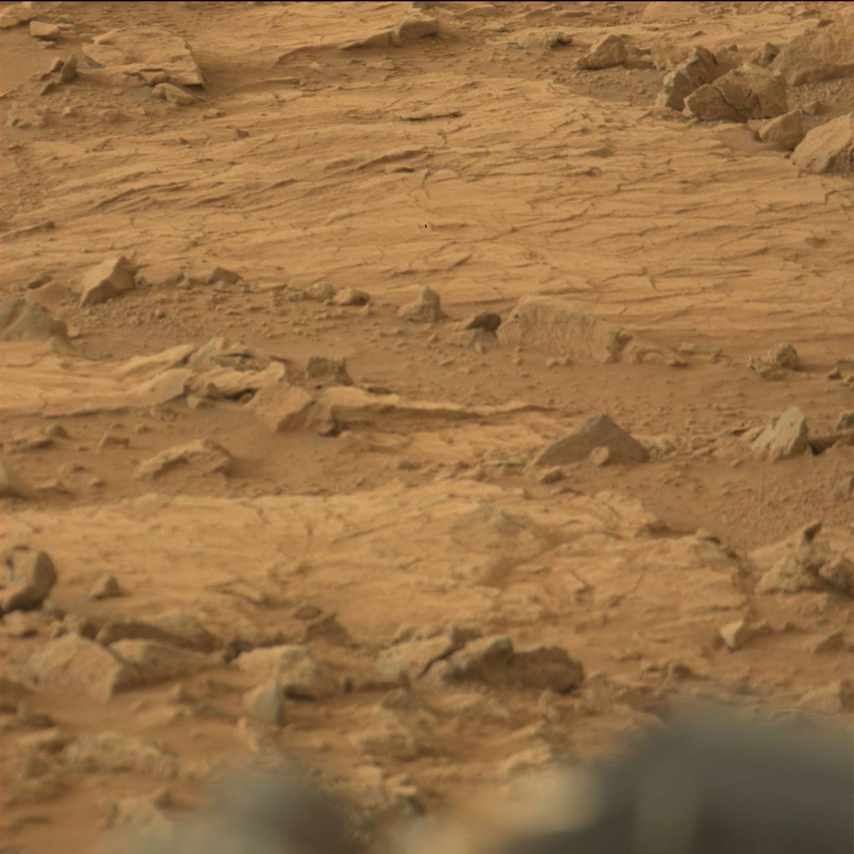 Nasa's Mars rover Curiosity acquired this image using its Mast Camera (Mastcam) on Sol 109