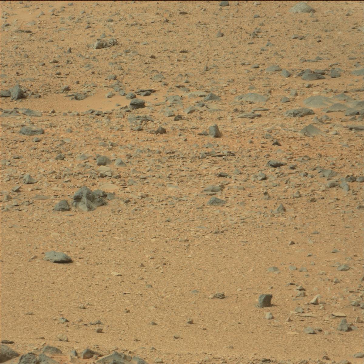 Nasa's Mars rover Curiosity acquired this image using its Mast Camera (Mastcam) on Sol 110
