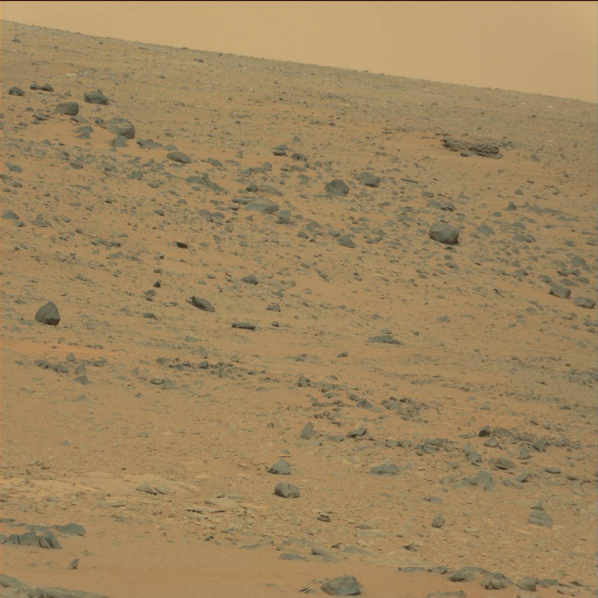 Nasa's Mars rover Curiosity acquired this image using its Mast Camera (Mastcam) on Sol 111