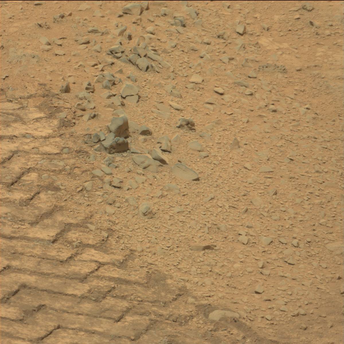 Nasa's Mars rover Curiosity acquired this image using its Mast Camera (Mastcam) on Sol 111