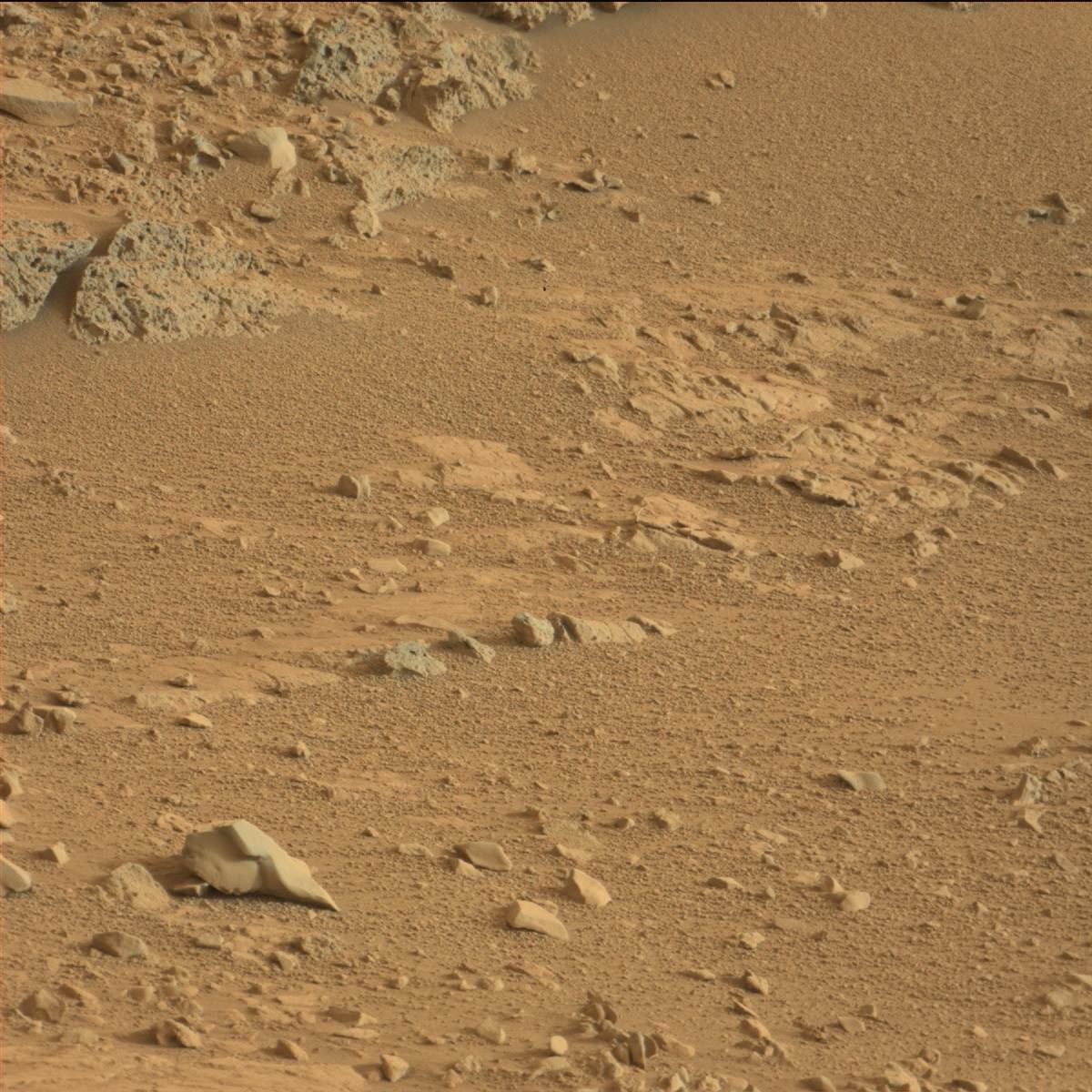 Nasa's Mars rover Curiosity acquired this image using its Mast Camera (Mastcam) on Sol 113