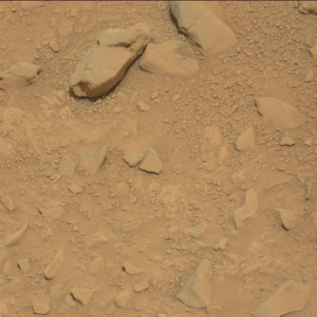 Nasa's Mars rover Curiosity acquired this image using its Mast Camera (Mastcam) on Sol 114