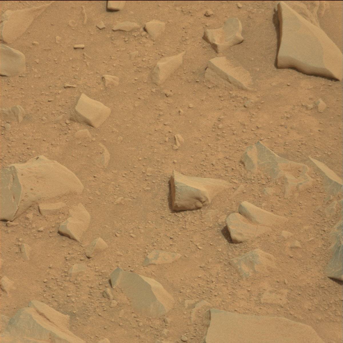 Nasa's Mars rover Curiosity acquired this image using its Mast Camera (Mastcam) on Sol 114