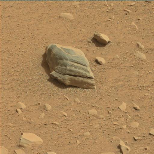 Nasa's Mars rover Curiosity acquired this image using its Mast Camera (Mastcam) on Sol 116