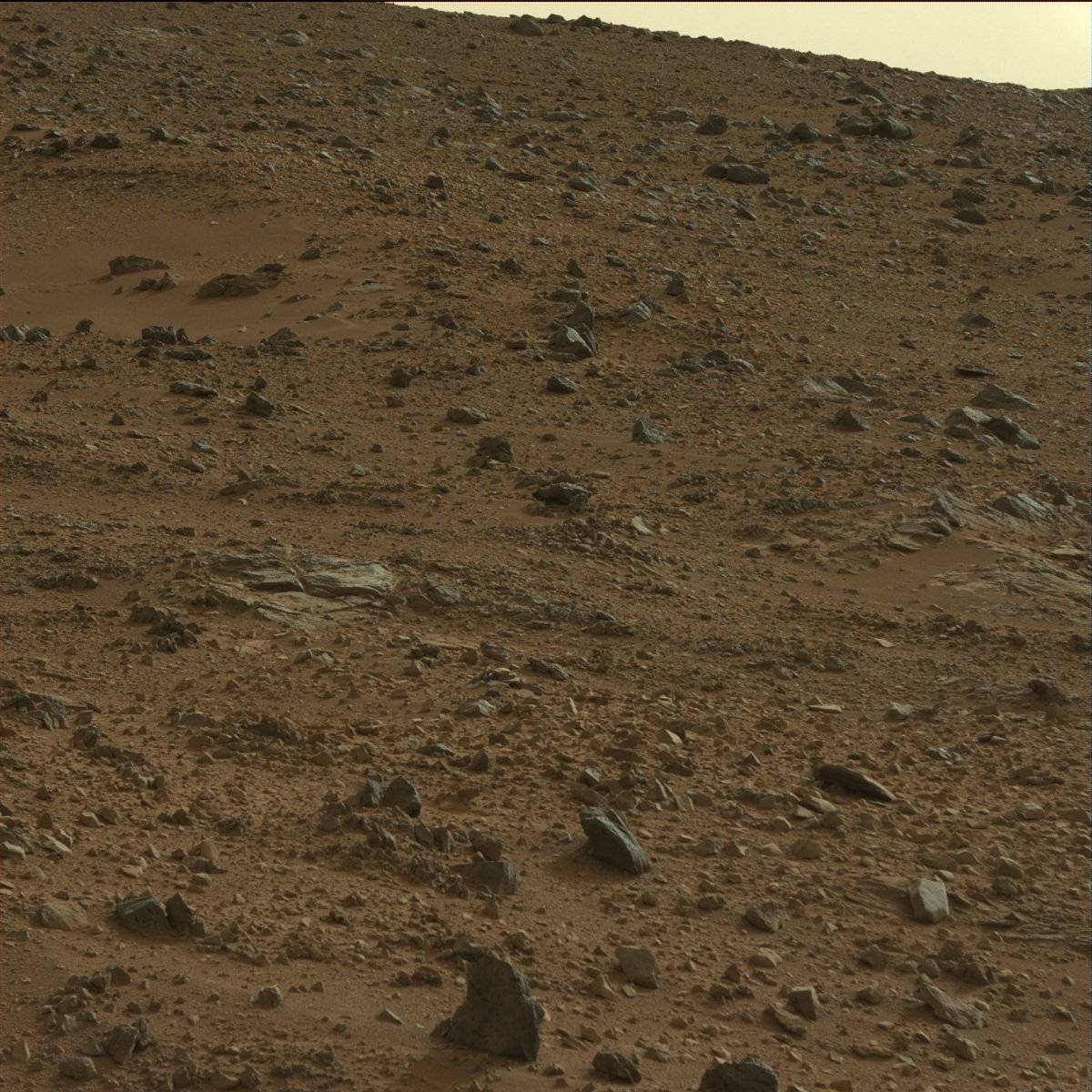 Nasa's Mars rover Curiosity acquired this image using its Mast Camera (Mastcam) on Sol 118