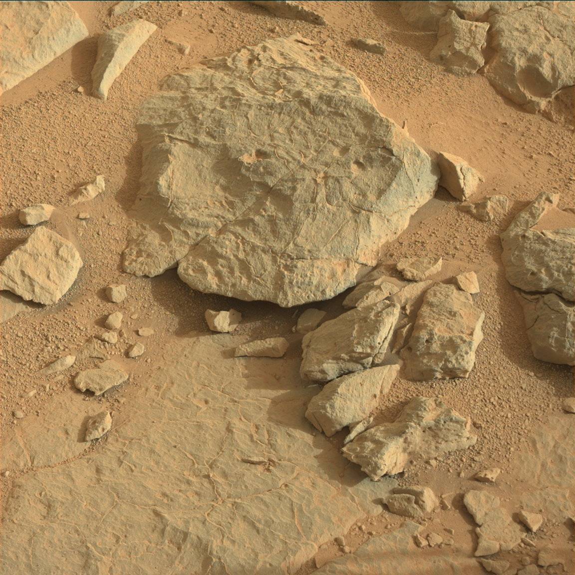 Nasa's Mars rover Curiosity acquired this image using its Mast Camera (Mastcam) on Sol 124