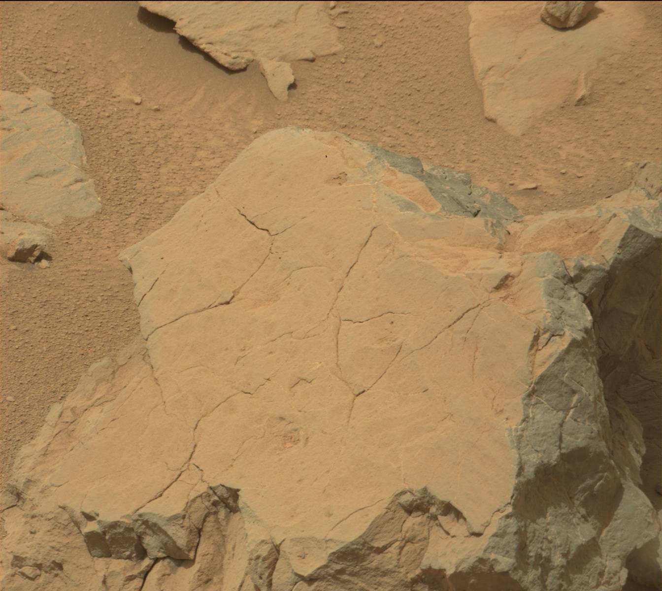 Nasa's Mars rover Curiosity acquired this image using its Mast Camera (Mastcam) on Sol 124