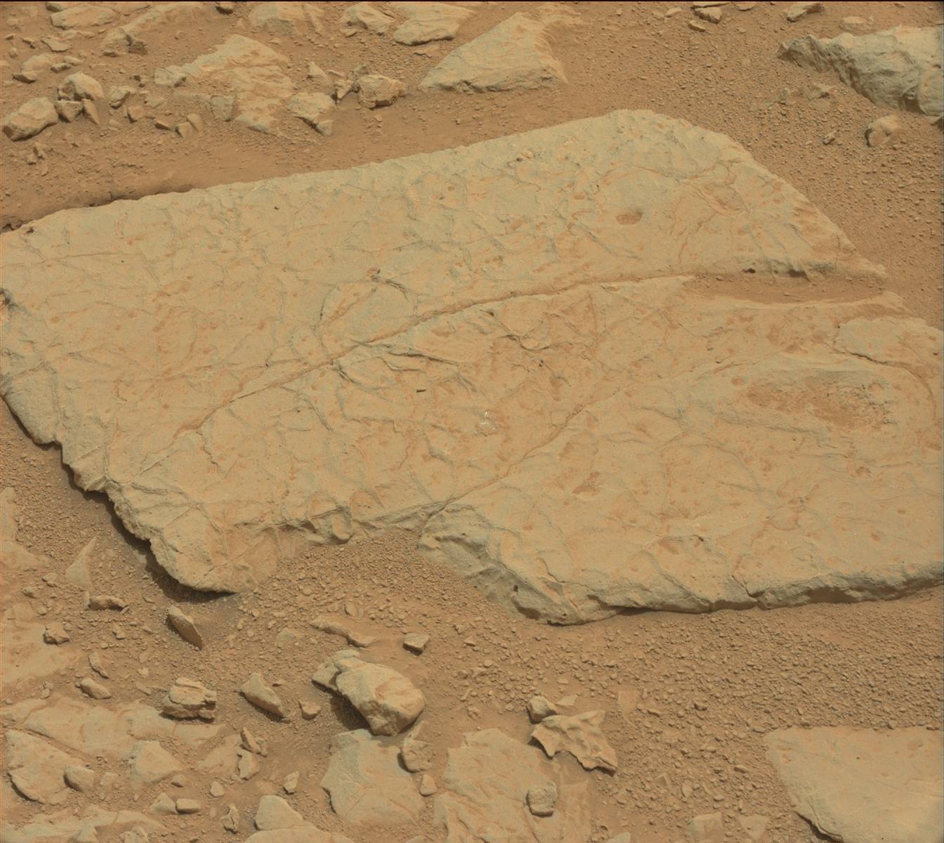 Nasa's Mars rover Curiosity acquired this image using its Mast Camera (Mastcam) on Sol 125