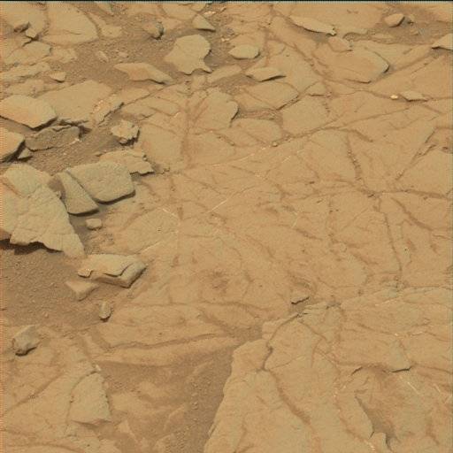 Nasa's Mars rover Curiosity acquired this image using its Mast Camera (Mastcam) on Sol 129