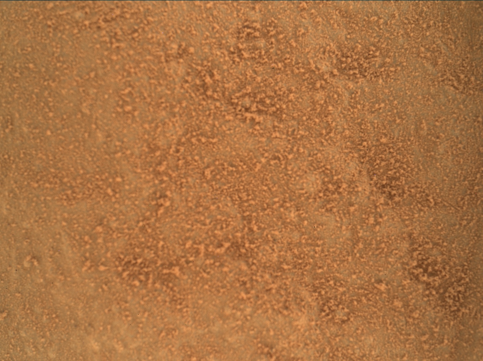 Nasa's Mars rover Curiosity acquired this image using its Mars Hand Lens Imager (MAHLI) on Sol 129