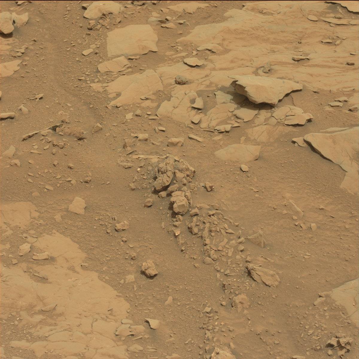 Nasa's Mars rover Curiosity acquired this image using its Mast Camera (Mastcam) on Sol 130