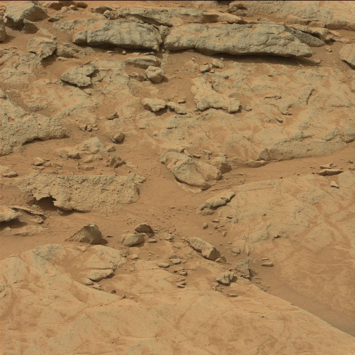 Nasa's Mars rover Curiosity acquired this image using its Mast Camera (Mastcam) on Sol 130
