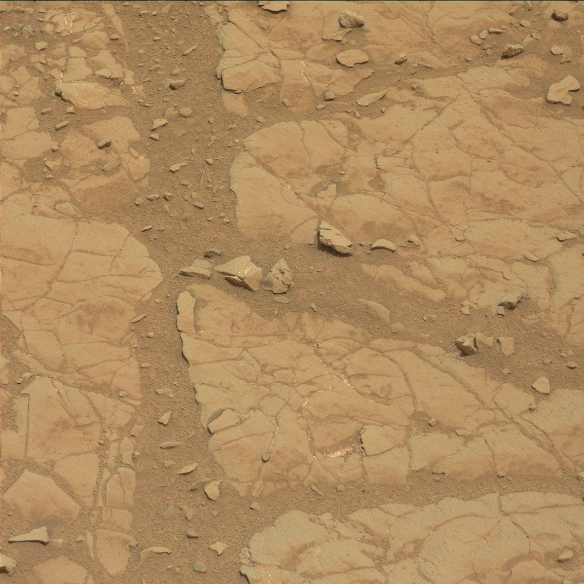 Nasa's Mars rover Curiosity acquired this image using its Mast Camera (Mastcam) on Sol 131
