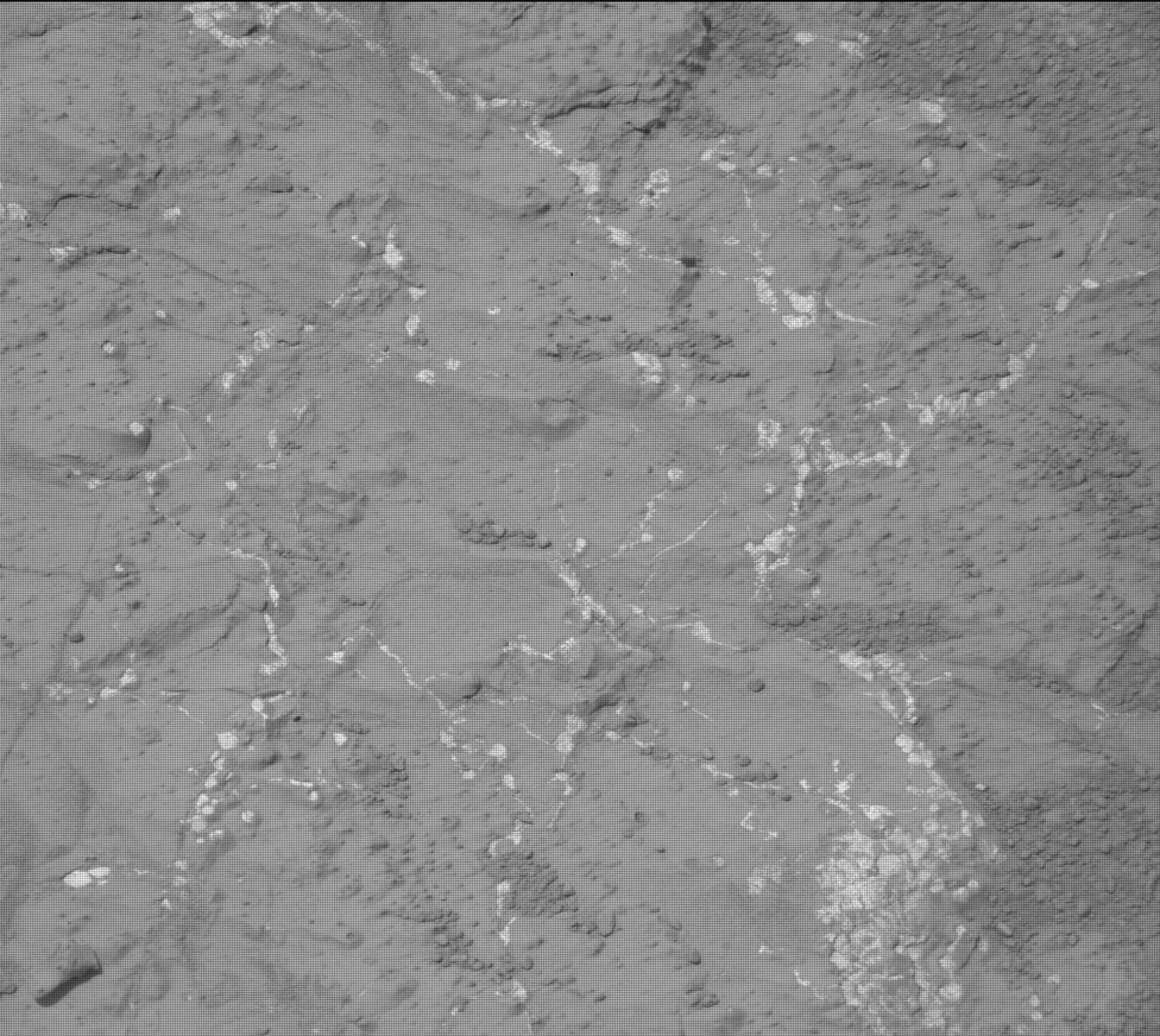 Nasa's Mars rover Curiosity acquired this image using its Mast Camera (Mastcam) on Sol 133
