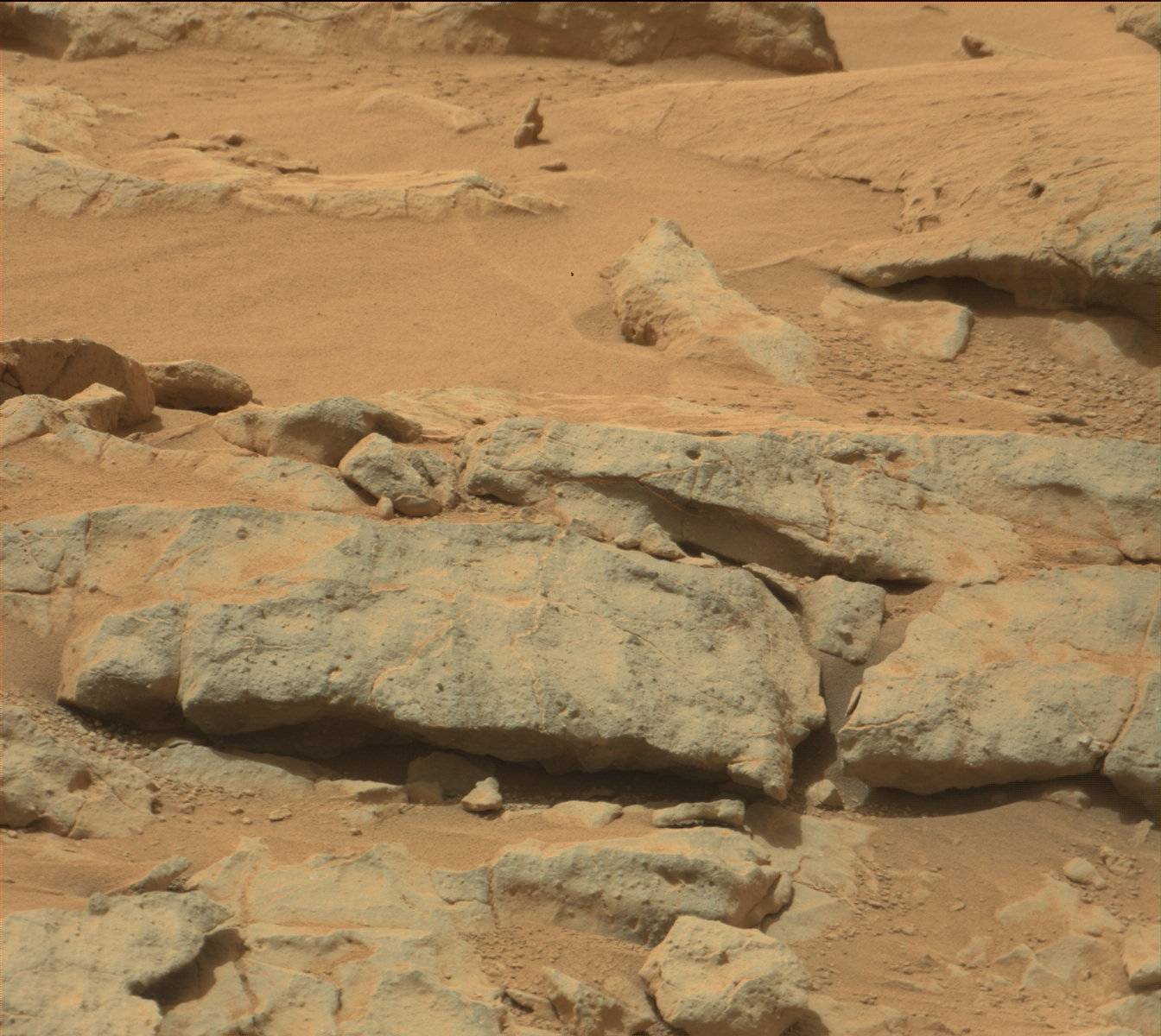 Nasa's Mars rover Curiosity acquired this image using its Mast Camera (Mastcam) on Sol 133