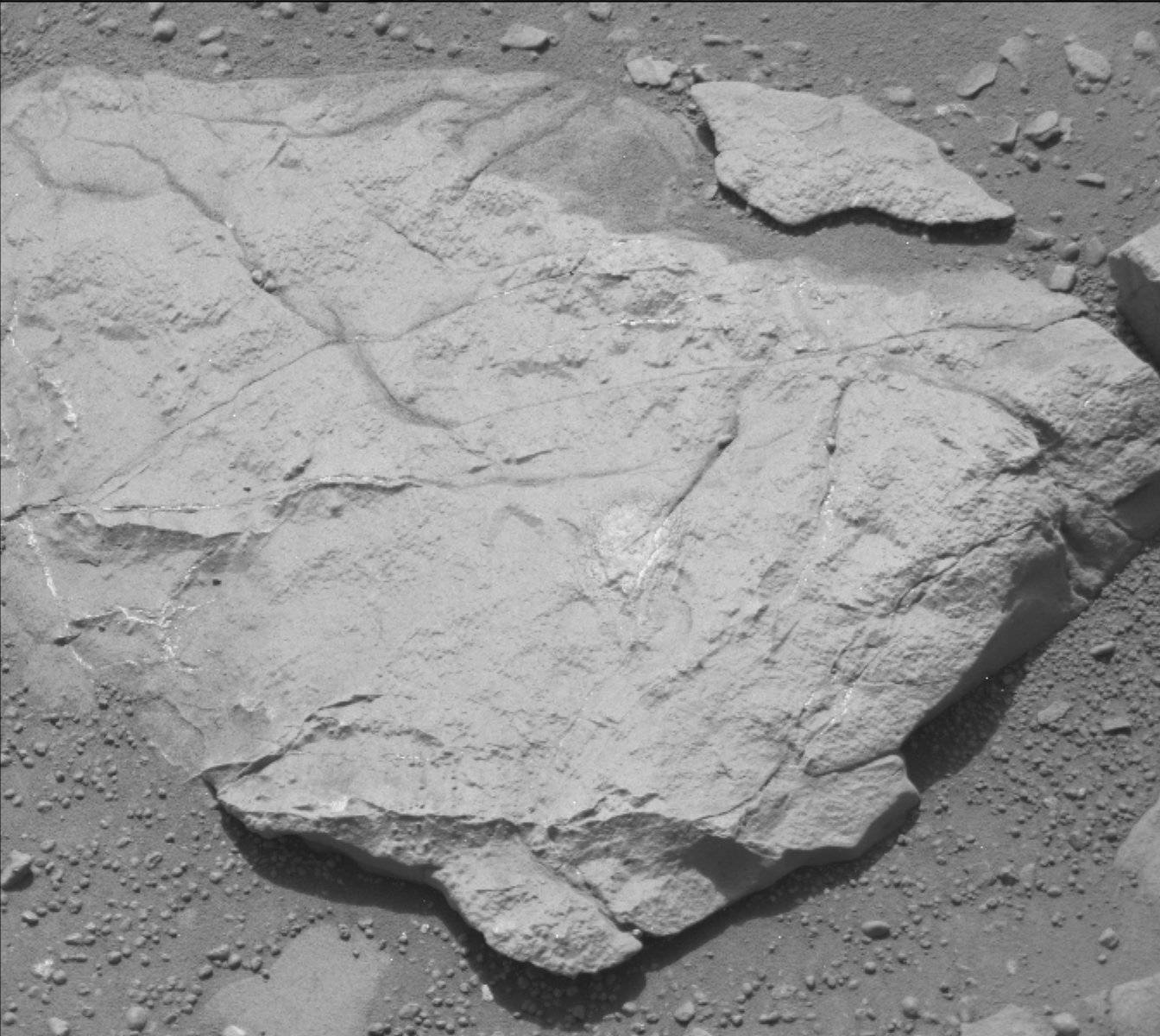 Nasa's Mars rover Curiosity acquired this image using its Mast Camera (Mastcam) on Sol 135