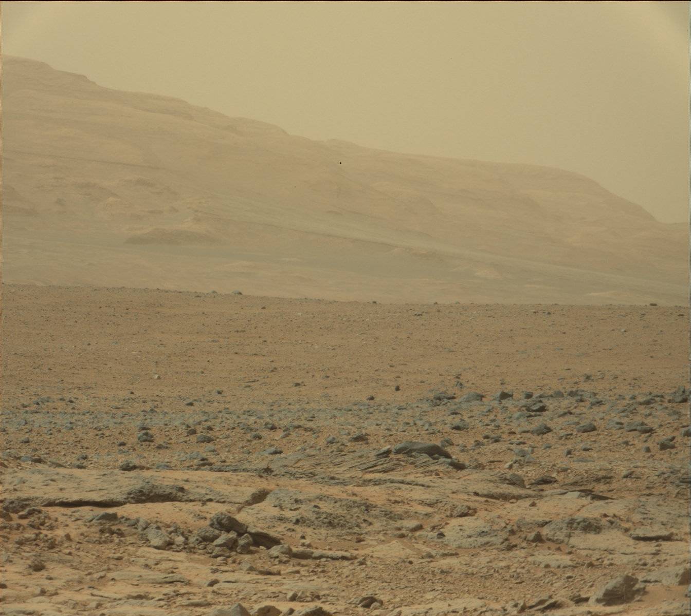 Nasa's Mars rover Curiosity acquired this image using its Mast Camera (Mastcam) on Sol 136