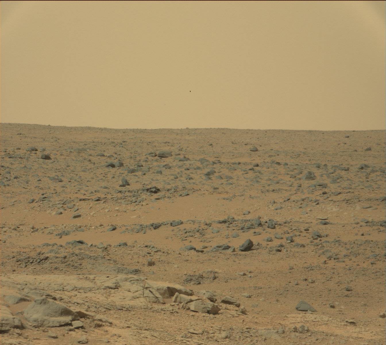 Nasa's Mars rover Curiosity acquired this image using its Mast Camera (Mastcam) on Sol 136