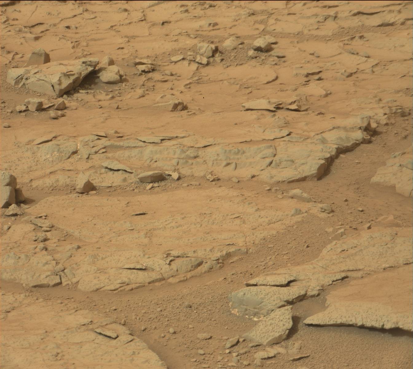 Nasa's Mars rover Curiosity acquired this image using its Mast Camera (Mastcam) on Sol 138
