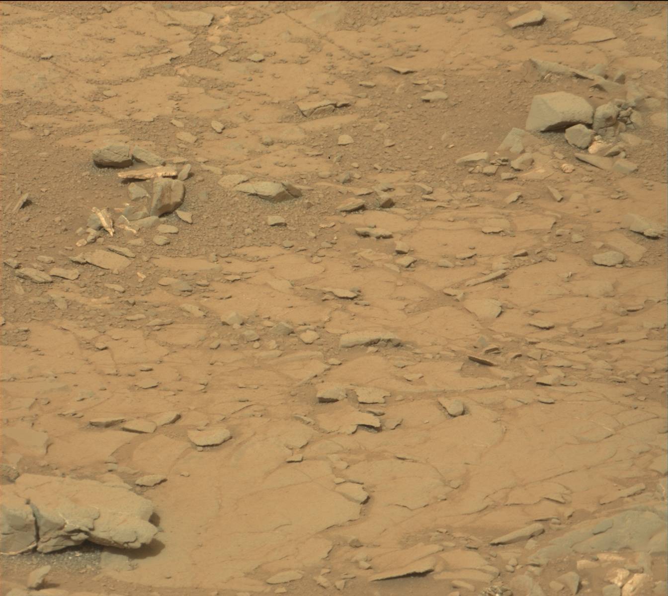 Nasa's Mars rover Curiosity acquired this image using its Mast Camera (Mastcam) on Sol 141
