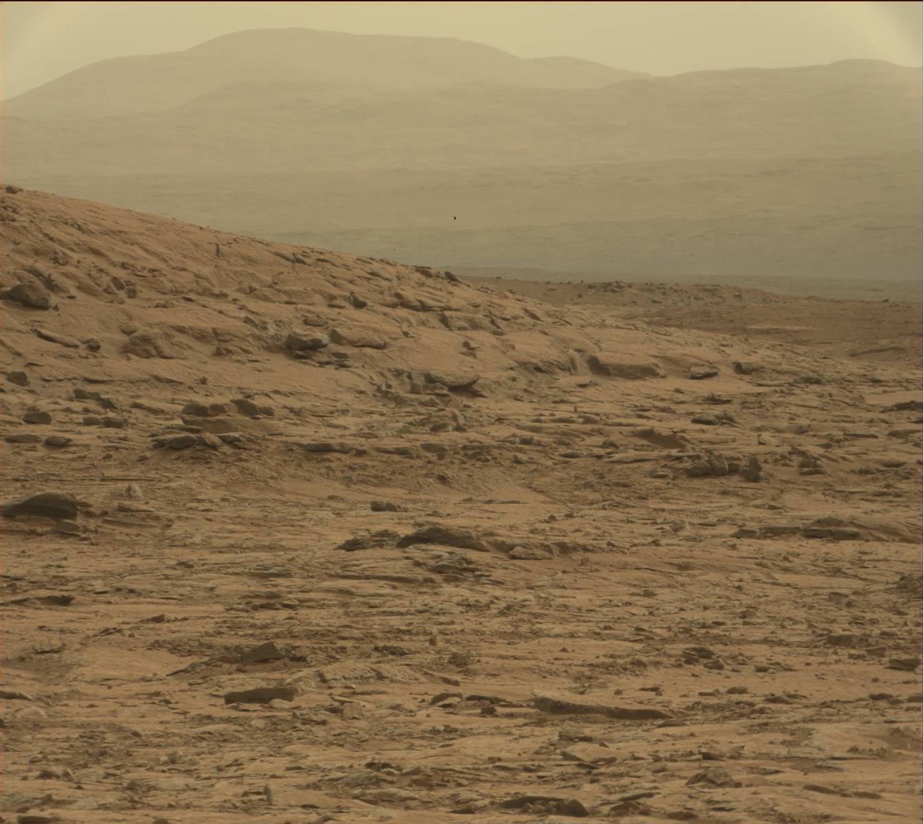 Nasa's Mars rover Curiosity acquired this image using its Mast Camera (Mastcam) on Sol 141